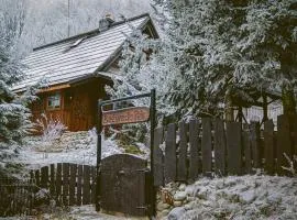 Domek Góralski Belwederek ski-in ski-out z prywatną sauną