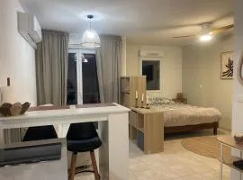 Studio Résidence les Jardins du Musée