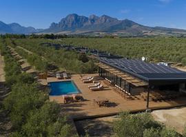 Olijvenkraal Winelands Lodge，位于帕尔的酒店
