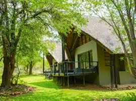 Thaba Lodge Black Rhino Pilanesberg