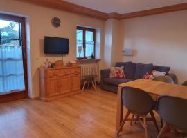 Fewo Haiber 1Zimmer Appartement，位于上迈塞尔施泰因的酒店