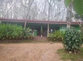 Green Wayanad Homestay