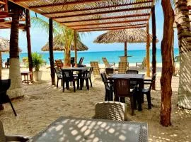 Aquarius Diving Club y Cabañas