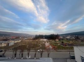 Park Side Hotel Tsalka，位于Tsalka的酒店