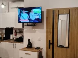 Drzewna Apartamenty-Wojska Polskiego