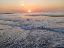 Galveston condo- walk to beach - ocean view - 2 pools