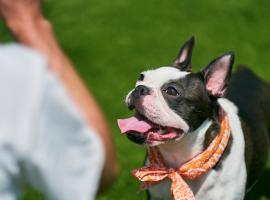 Solana富士御殿場，位于御殿场市的酒店