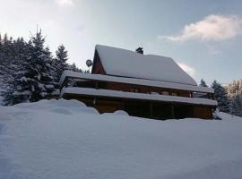 Chata Pod Soláněm，位于弗塞廷的酒店