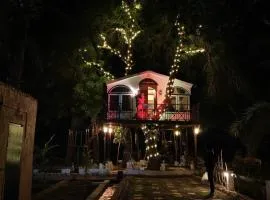 The 9th planet "Ecoliving Cult"