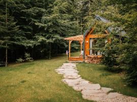 Tiny house nad potokiem，位于Ohłyp&oacute;w的小屋