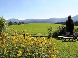 Ferienwohnungen am Arber - Haus Osser -