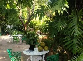 Jungle Palace by Santaella