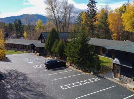阿迪朗达克云杉山林小屋，位于威尔明顿的酒店