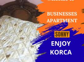 Businesses Apartment 2，位于Polisi i Vogël的酒店