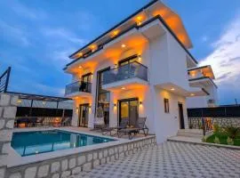 Unique Villa 1