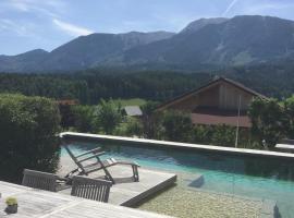 PurPlus Lodge，位于Vorderstoder的酒店