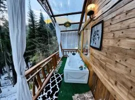 Bawli Treehouse Duplex, Jibhi
