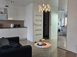 Buto nuoma Šviesos gatvėje