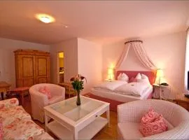 施罗本豪森布劳农家老城酒店