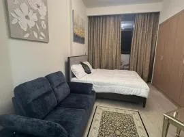 Sophisticated Studio Designer Interiors