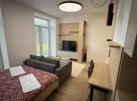 1 room apartment with garden, Nálepková