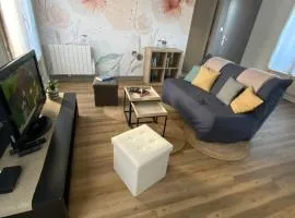 Appartement lumineux centre-ville