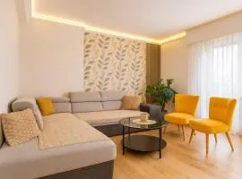 Appartement Très Moderne, Rénover, Triple Frontière, SAINT LOUIS CENTRE