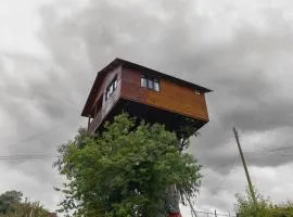 Casita del Arbol Trini By GEstores