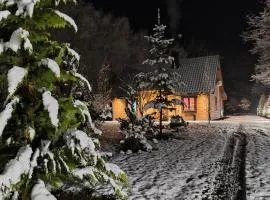 Dębowiec 53, dom z ogrodem i sauną na wyłączność,