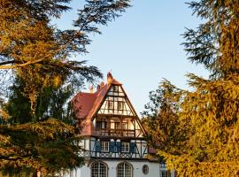 Villa René Lalique，位于Wingen-sur-Moder的酒店