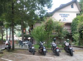 Hotel Delle Alpi，位于Vagli di Sotto的酒店