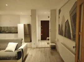 City Center Apartment 45m, 100m from RYNEK and Wisła River 1 Bedroom and 1 Living Room with Kitchen plus Bathroom, a perfect Family Friendly Place or for Home Office and a longer Stay, a proper office desk with business chair provided,