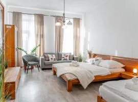 Puskinova 100m2 6 beds Apartment City Center Kosice