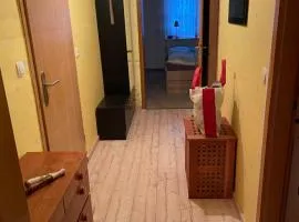 Bunte Stadt an der Elde 3