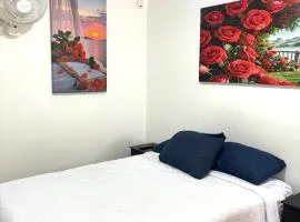 Cómodo departamento 2 cerca del centro de gobierno , CAS, Consulado , CRIT