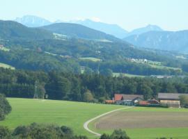 弗朗茨约瑟夫旅馆，位于施特拉斯瓦尔兴的酒店