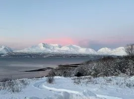 Above The Arctic circle