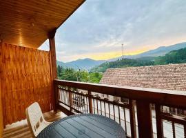 Hotel Dilijan Old Center，位于Aghk'ilisa的酒店