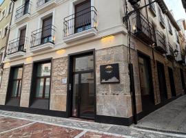 VELALMA -Edificio exclusivo de apartamentos turisticos en Centro histórico-JAEN，位于哈恩的酒店