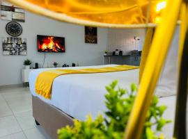 Studio4，位于帕拉佩的酒店