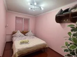 3х комнатная квартира