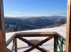 Tiny House Casuta Schiorului 2, Mărișel Apuseni，位于马里瑟尔的酒店