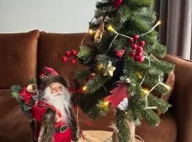 Apartament Grafitowy