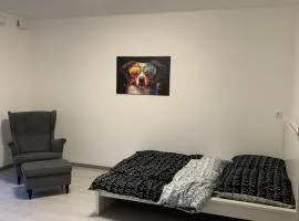 Privatunterkunft Neubau mit Garten Mainz Wiesbaden Frankfurt Airport