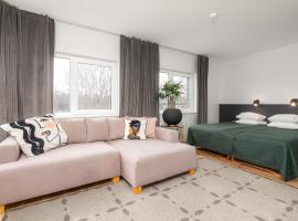 艾米酒店，位于派尔努的酒店