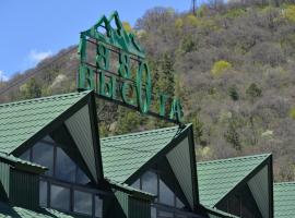 Visota 1880 Hotel Tsaghkadzor，位于萨克德佐尔镇的酒店