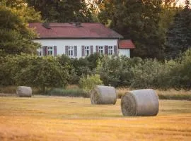 Privates Ferienhaus mit großem Garten