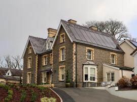 Y Seren Hotel & Restaurant，位于卡马森的酒店