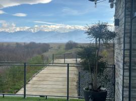 The Underground MOOTEL，位于Porumbacu de Jos的酒店