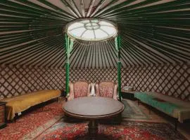 Cosy yurt at a nature retreat in Sequoia N Forest